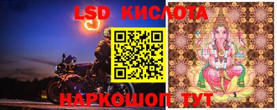 ешки Камышлов