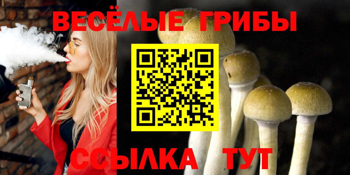 Псилоцибиновые грибы Psilocybine cubensis  Вход с VPN  Кыштым  Псилоцибиновые грибы Psilocybine cubensis 